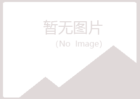 大观区山柏水泥有限公司